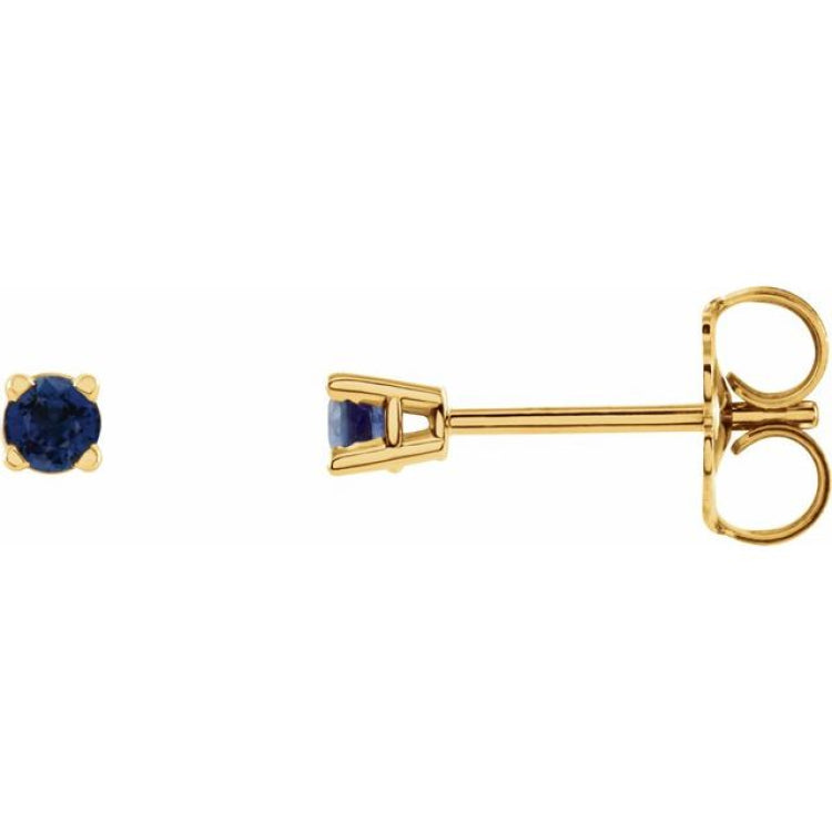 14K Yellow Gold 2.5 mm Natural Blue Sapphire Earrings