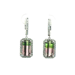 Watermelon Tourmaline Earrings